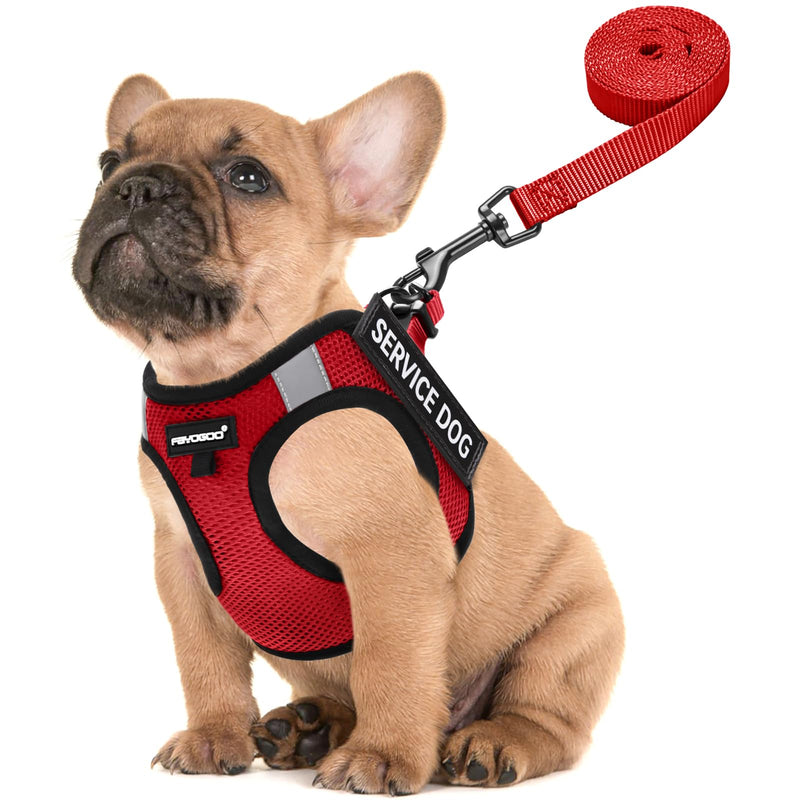 FAYOGOO Service Dog Vest for Small Dogs - Lightweight Dog Harness with 6PCS Removable Patches - Puppy Harness and Leash Set for Walking,Training