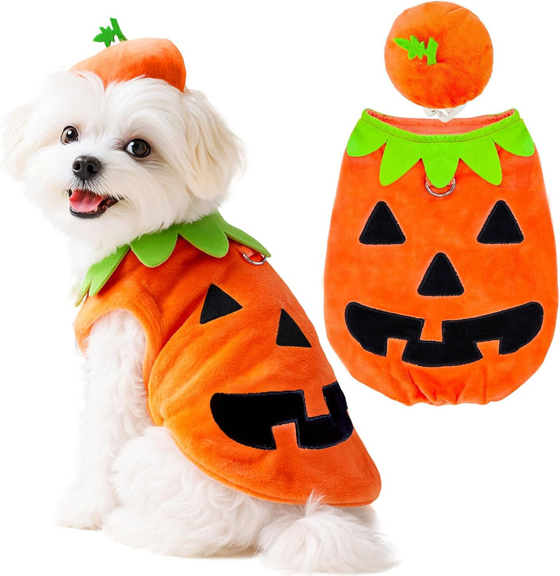 ABRRLO Funny Dog Pumpkin Costume Small Dog Cat Halloween Costumes Boy Girl Cute Halloween Dogs Shirt with Leash Ring Pum
