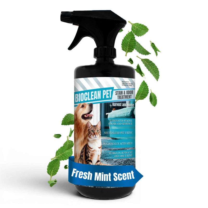 Bioclean Pet Carpet Cleaner & Deodorizer – Eliminates Pet Urine Smell, Stain & Odor Remover, No Residue, Made in USA – 32oz