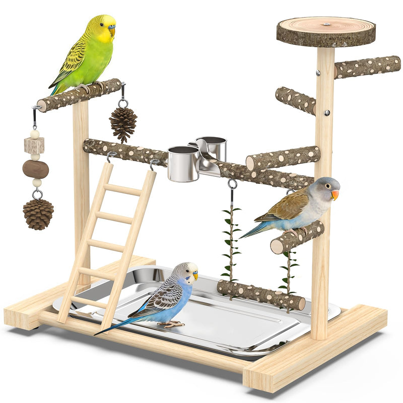 Chuiendi Bird Playground,Natural Wood Bird Perch Stand Parakeet Playground with Swing, Ladder & Feeder Cups,Birds Play Stand for Cockatiel Parakeet Lovebirds Conure