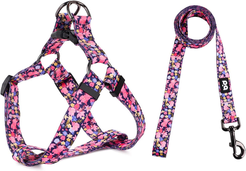 QQPETS Dog Harness Leash Set Adjustable Heavy Duty No Pull Halter Harnesses for Small Medium Large Breed Dogs Back Clip