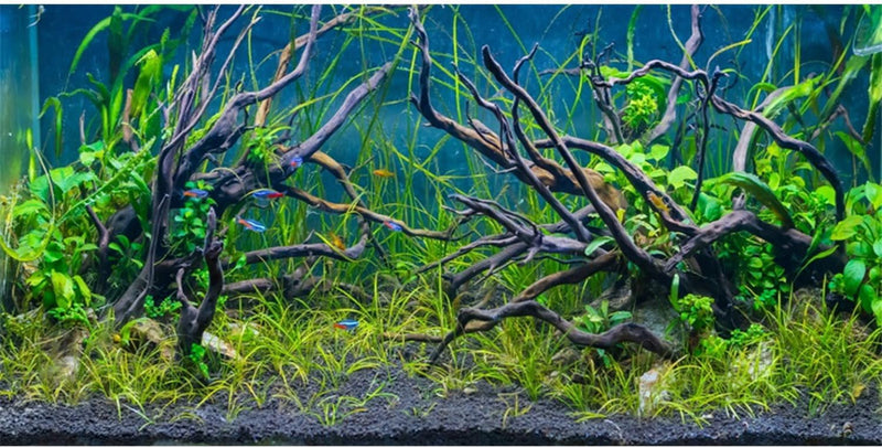 24x12 inches Tropical Fish Tank Background Aquatic Plant Aquarium Backdrop