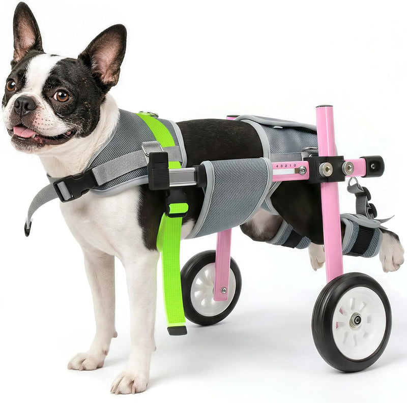 Lightweight Dog Wheelchair for Back Legs,Adjustable Mobility Cart