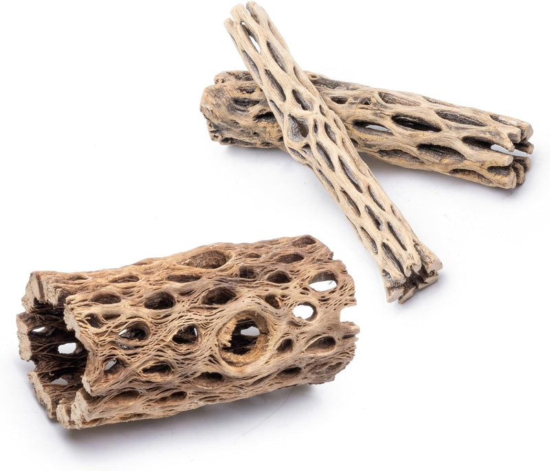 SubstrateSource Natural Cholla Wood - 3PC (1 4