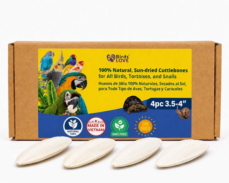 Birds LOVE 3.5-4โณ Cuttlebone for Birds โ 100% Natural Sun-Dried Calcium & Beak Conditioning Supplement for Parakeets, Bu