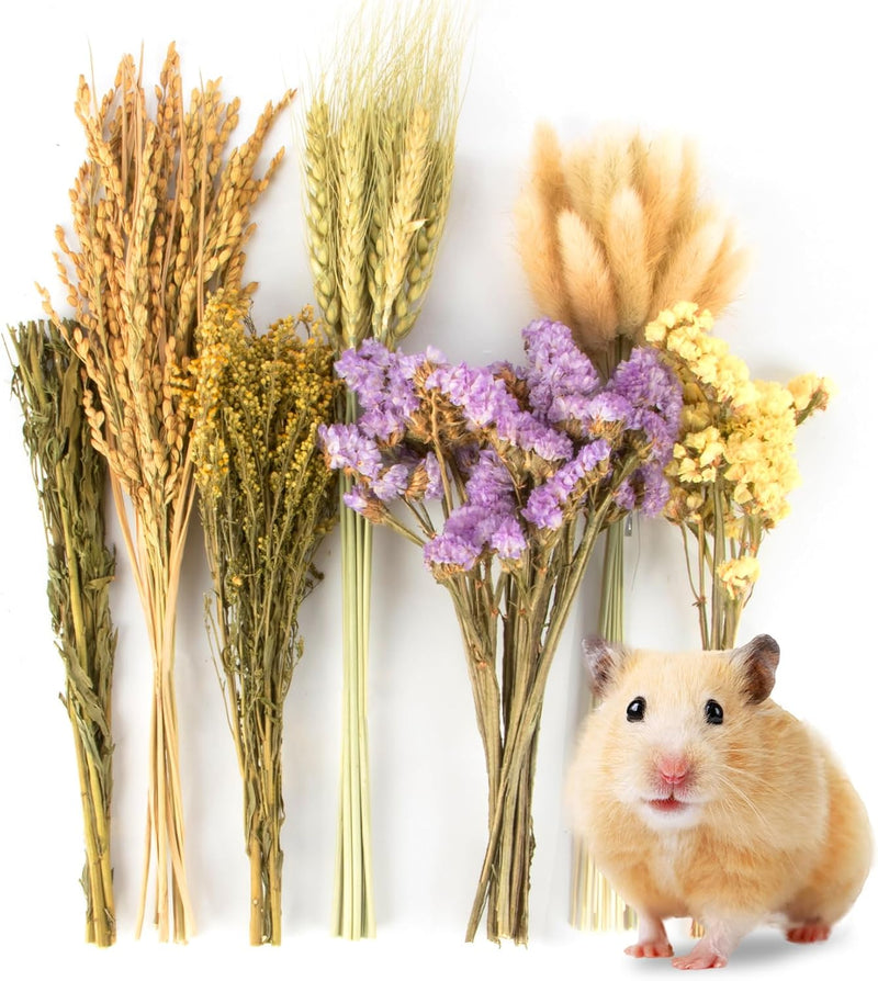 Sukh 60PCS Hamster Sprays - Natural Flower Herb Bedding & Habitat Decor
