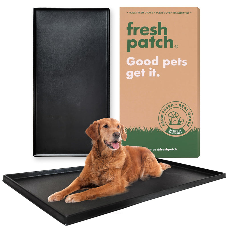 Fresh Patch Plastic Tray for XL Real Grass Pee and Potty Training Pads for Large Dogs and Multi-Dog Households – 4 ft x 2 ft Multi-Purpose and Reusable Crate Tray for Indoor and Outdoor Use
