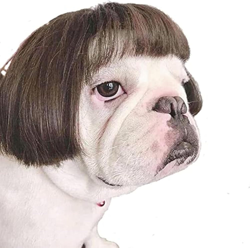 Funny Dog Cat Cosplay Wig,Pet Wigs for Halloween, Christmas, Parties, Festivals, Dog Wigs for Small Medium and Large Dog