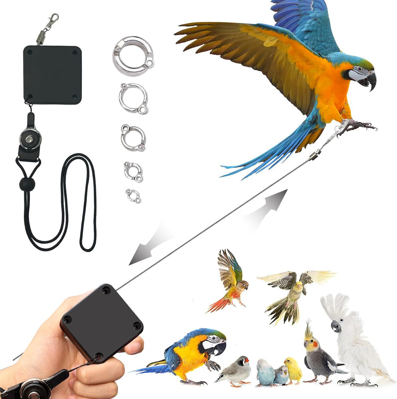 Retractable Bird Leash,Parrot Flying Rope,Anti-Bite Wire Rope Parrot Leash,Adjustable Bird Harness for Training,with 5pc