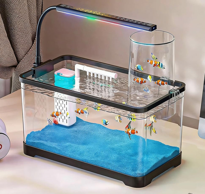 Aquarium Fish Tank Kit, 3 Gallon Betta Fish Tanks Starter Kit with Light and Filter, Blue Sand, Small Tropical Fish, Gup