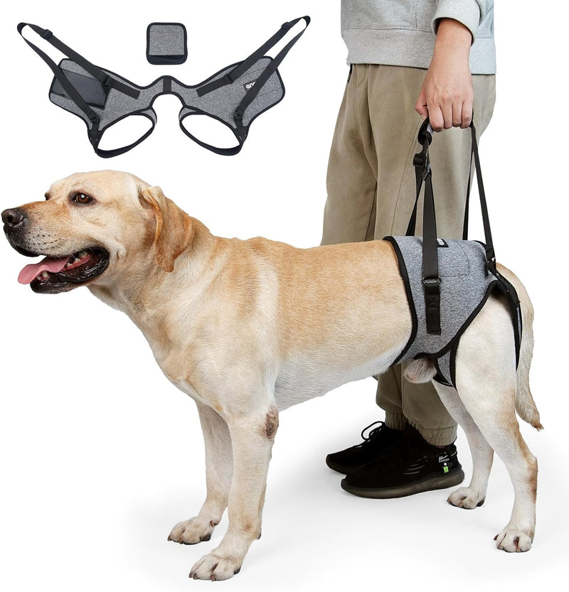 CNEO Dog Lift Harness, Dog Sling for Medium Large Dogs, Adjustable Dog Support Harness for Back Legs, Comfy Design Pet H