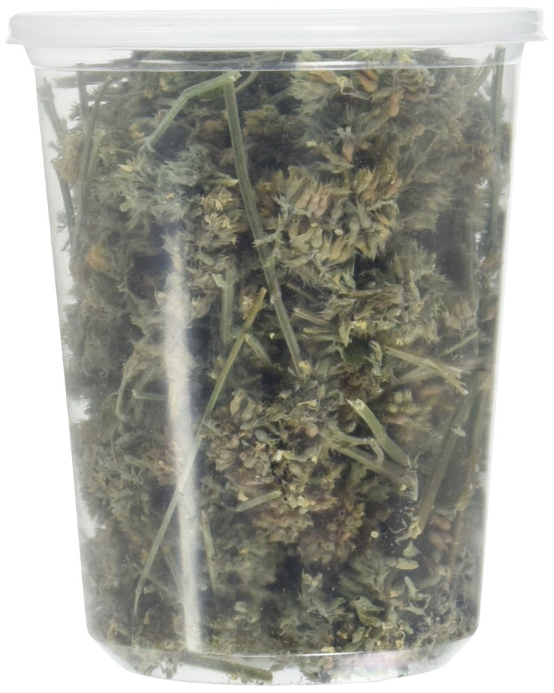 from The Field | Premium Whole Catnip Buds for Cats | Organic, USA-Grown, Fresh & Potent | Natural, Eco-Friendly Cat Treat for Play & Relaxation | Catnip for Indoor Cats | Resealable 1 OZ Tub