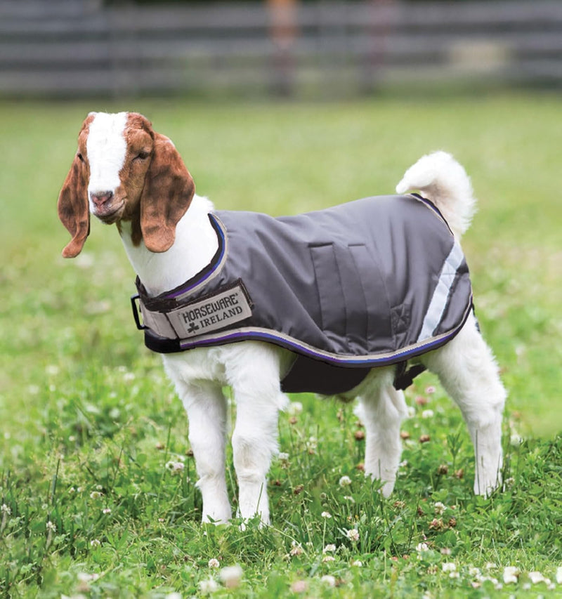 Horseware® Goat Rug - Excalibur/Silver & Strong Blue & Black, S