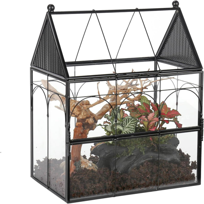 NCYP Glass Enclosure with Vent Holes for Jumping Spiders, Praying Mantis, Small Insect - 7.5