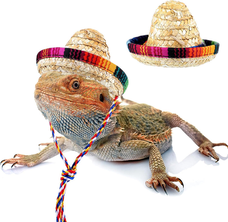 Bearded Dragon Sombrero Hats, Bearded Dragon Clothes Accessories Lizard Straw Hat with Adjustable Chin Strap Small Pet H