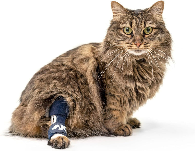 Balto Feline Hock Brace – Cat Ankle Brace – Brace with Aluminum Splints – Pre/Post Surgery Helps Support Arthritis and U