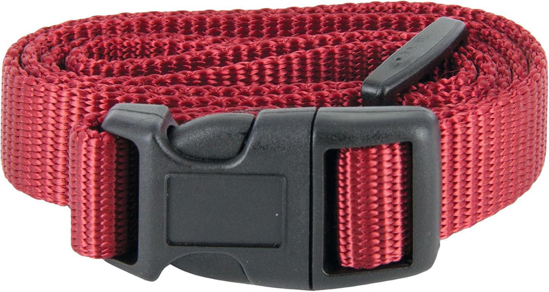 PetSafe 3/4 Inch Replacement Collar Strap, Rust