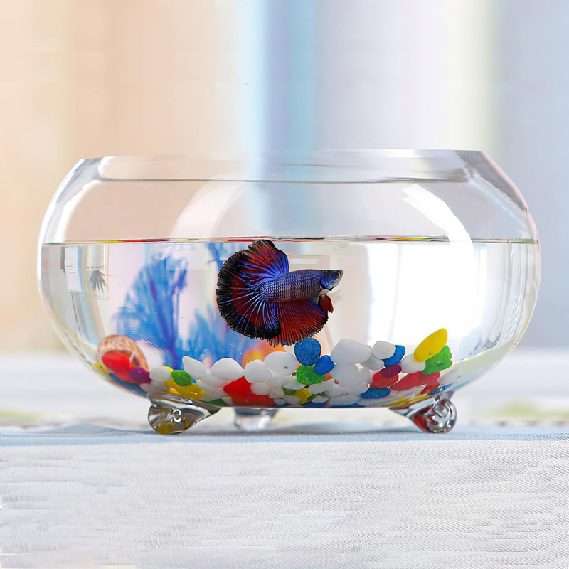 2 Gallon Glass Fish Tank,Sturdy Nicely Betta Fish Bowl,Small Aquariums for Small Ornamental Fish and Reptiles,High Trans