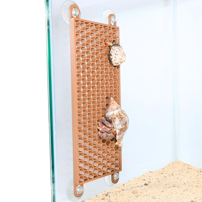 Lucky Critter Hermit Crab Ladder Climbing Toy | Hermit Crab Tank Enrichment Decor | Hermit Crab Decoration Accessories Supplies Toys Ornaments