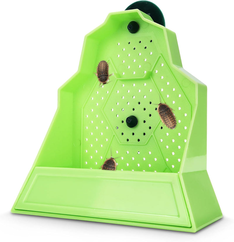 Reptile Anti-Escape Feeding Bowl, Wall-Mounted Feeder for Reptile, Stimulate Hunting Accessories for Terrarium, Vivarium