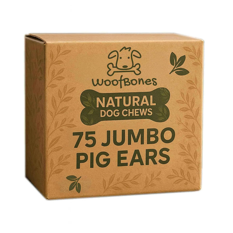 WoofBones All Natural Jumbo Whole Pig Ears for Dogs - 100% Natural Pork Ear Dog Treat (75-Pack)