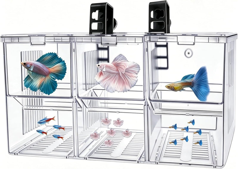 Fish Breeding Box,Breeding Box for Fish Tank,Betta Breeder Box