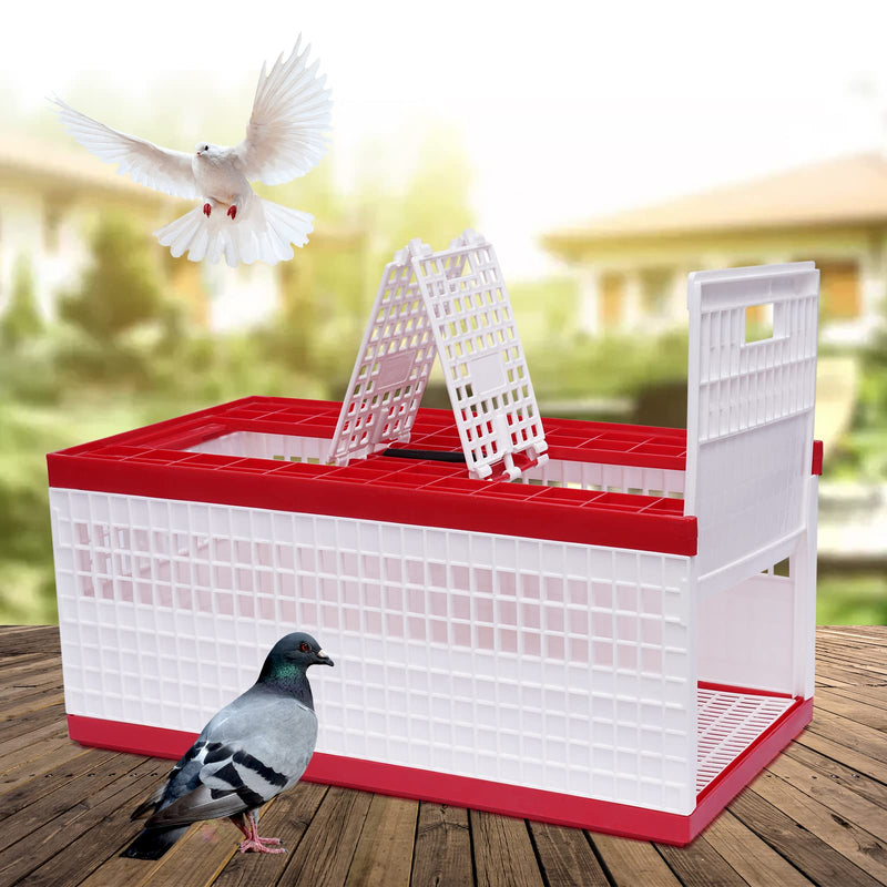 LIAPDG Racing Pigeon Carrier Box, 60 x 31 x 23 Cm Bird Training Basket Folding Pigeon Training Release Cage with 2 Side Doors + 2 Top Department
