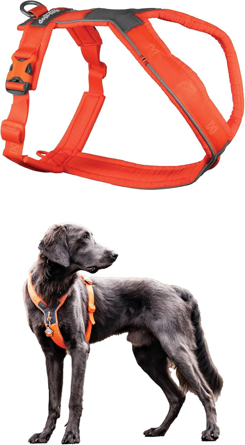 Non-stop Dogwear No Pull Dog Harness 5.0 - Padded Harness with Reflective Details for Small Dogs, Ergonomic Y-Shaped Adj