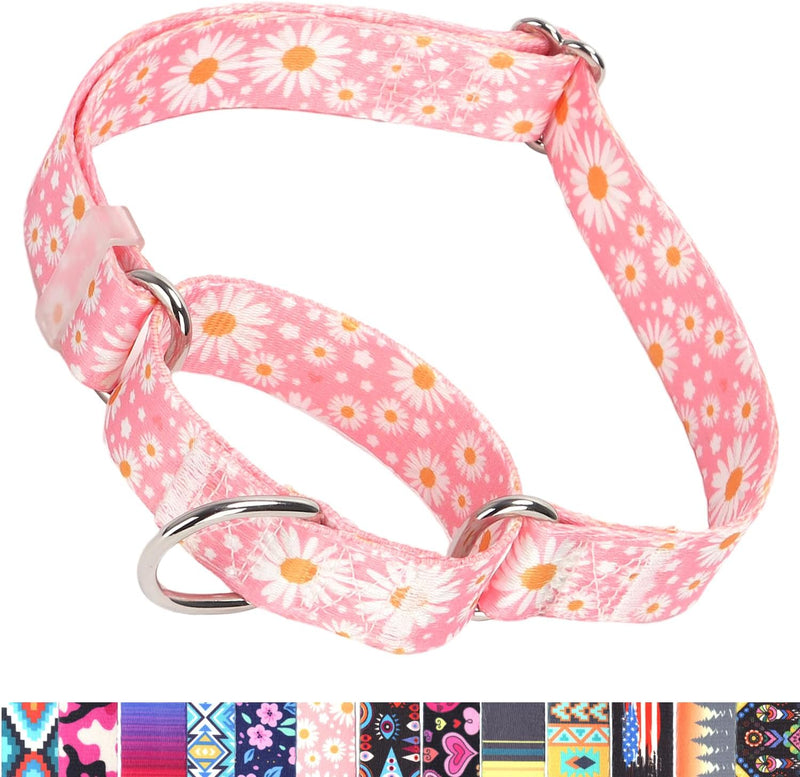 Martingale Collar for Dogs, No-Slip Escape Proof Choke No Pull Cinch Soft Nylon Dog Training Collars Adjustable for Smal