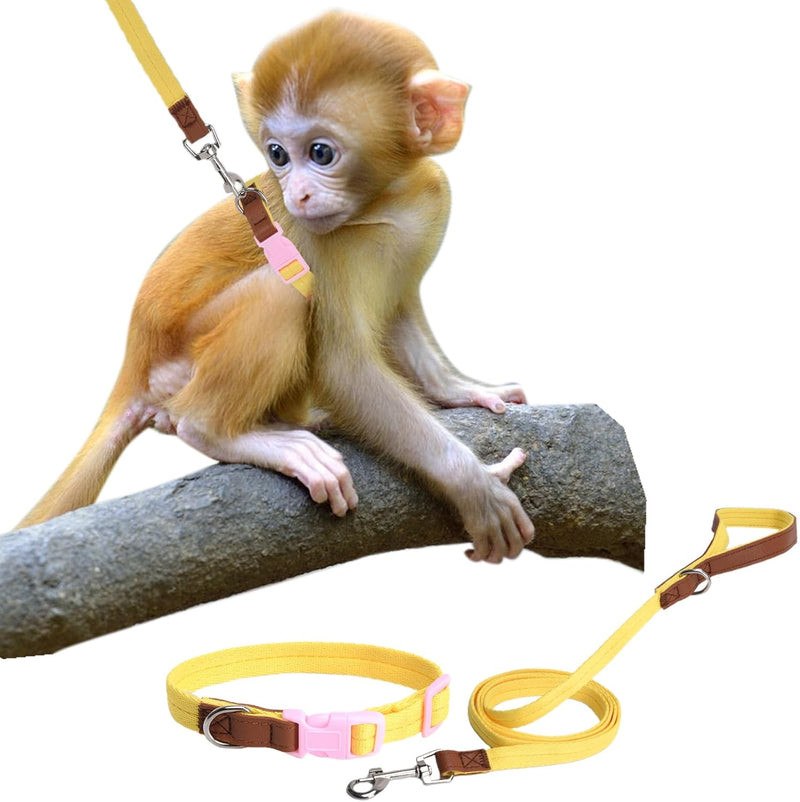 Mini Monkey Leash Adjustable Strap Belly Bands Marmoset Walking