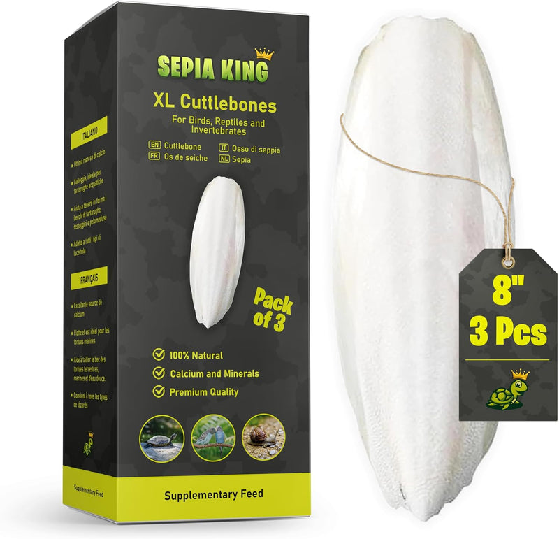 Sepia King - Extra Large - 100% Natural Calcium Supplement - Premium Cuttlebone Perfect for Birds, Tortoises, Snails, Re