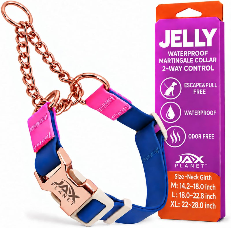 Jelly No Pull No Slip Waterproof Martingale Collar for Dogs, Blue Rose