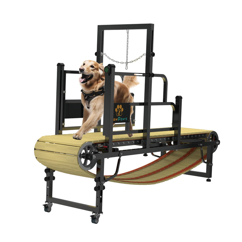 PawPaw's Dog Treadmill for Large Dogs, Medium Dogs with Brake. Dog Slatmill for Healthy & Fit Dog Life, Dog Treadmill for Indoor & Outdoor. Treadmill for Dogs up to 330 lbs