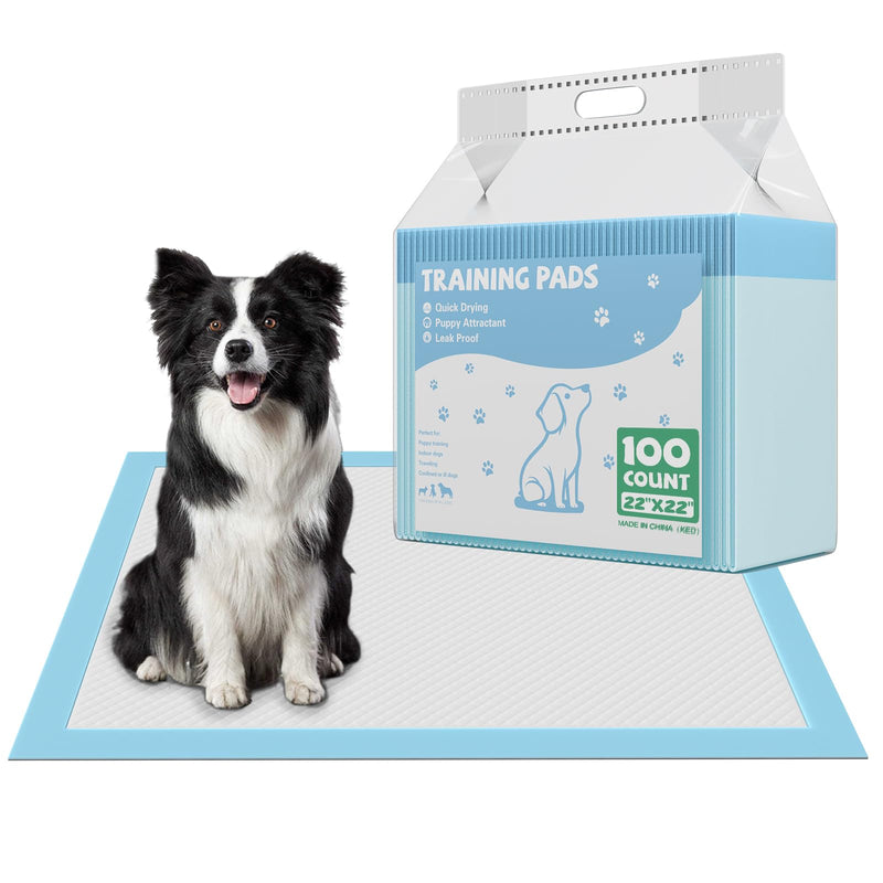DUMOS 100 Count Puppy Pads for Dogs, 22