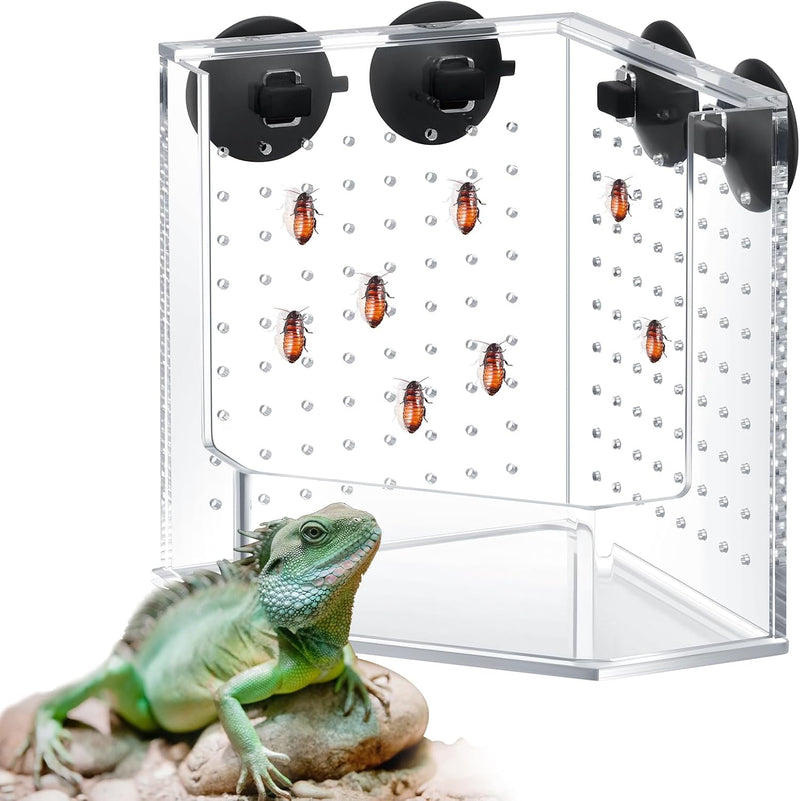 Weysat Reptile Corner Hunting Bowl, Transparent Acrylic Reptile Feeder Box with 4 Suction Cups, Tank and Aquarium Access
