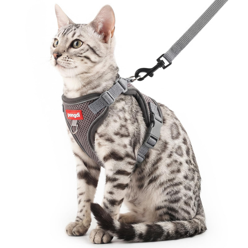 pangdi Cat Harness and Leash Kitten Harness Escape Proof Lightweight Breathable Mesh Cat Leash for Walking Travel, Grey, X-Large