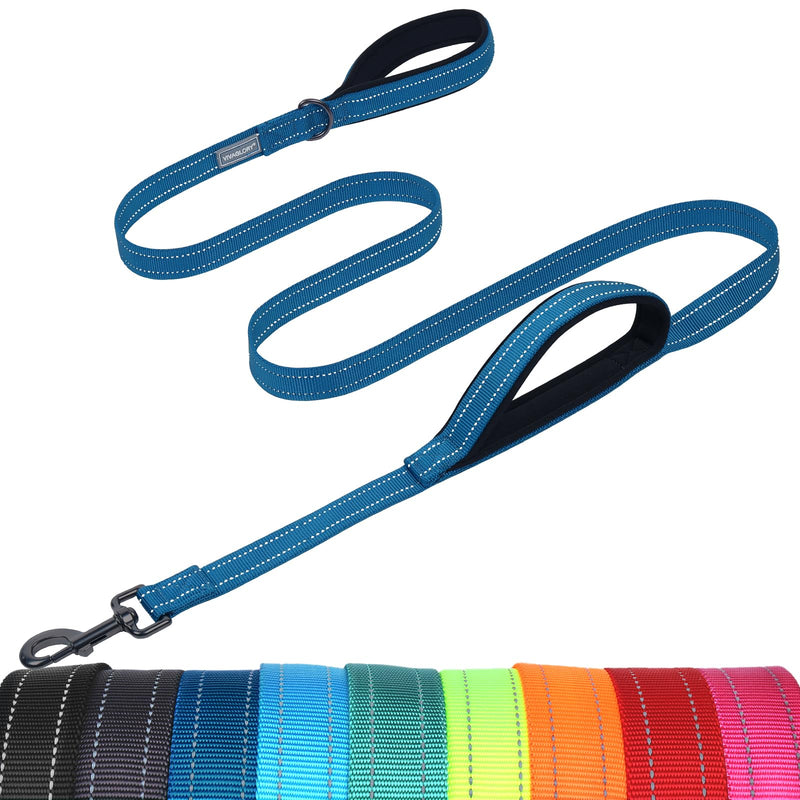VIVAGLORY Dog Leash Twingrip Double Handle Dog Leash with Traffic Handle Control & 2 Loop for Walking & Training, Reflective Heavy Duty for Puppy Pet Collar, 6ft x 1in, Blue