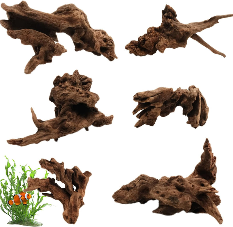 6PCS Natural Driftwood 3