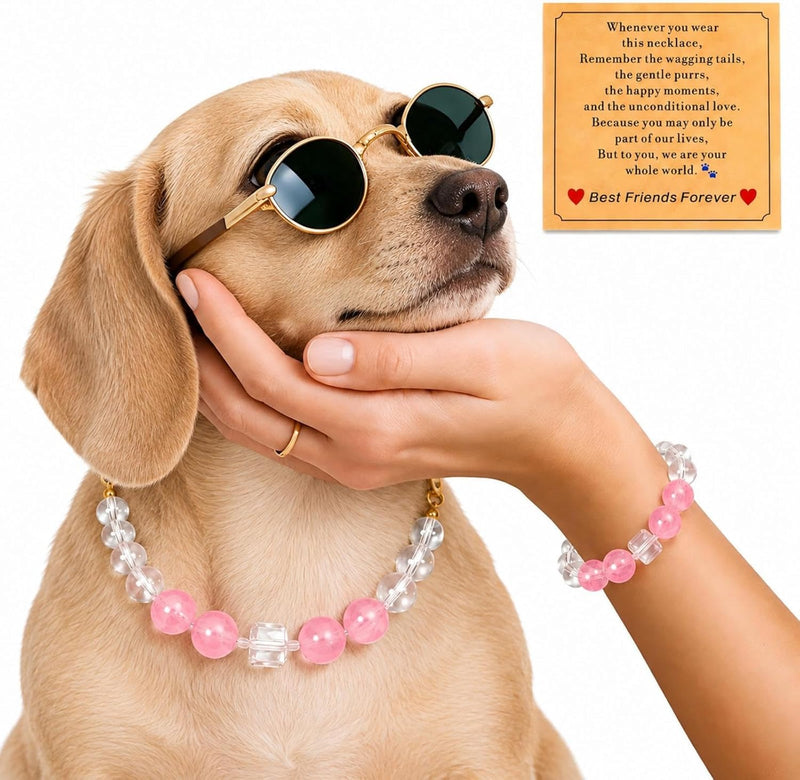 Handmade Dog Collar and Matching Owner Friendship Bracelet Set