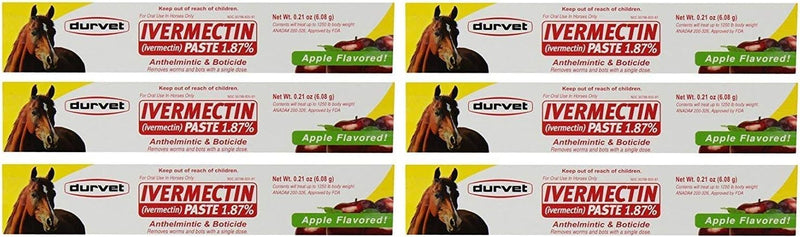 Durvet Paste for Horses 1.87% (0.21 oz)