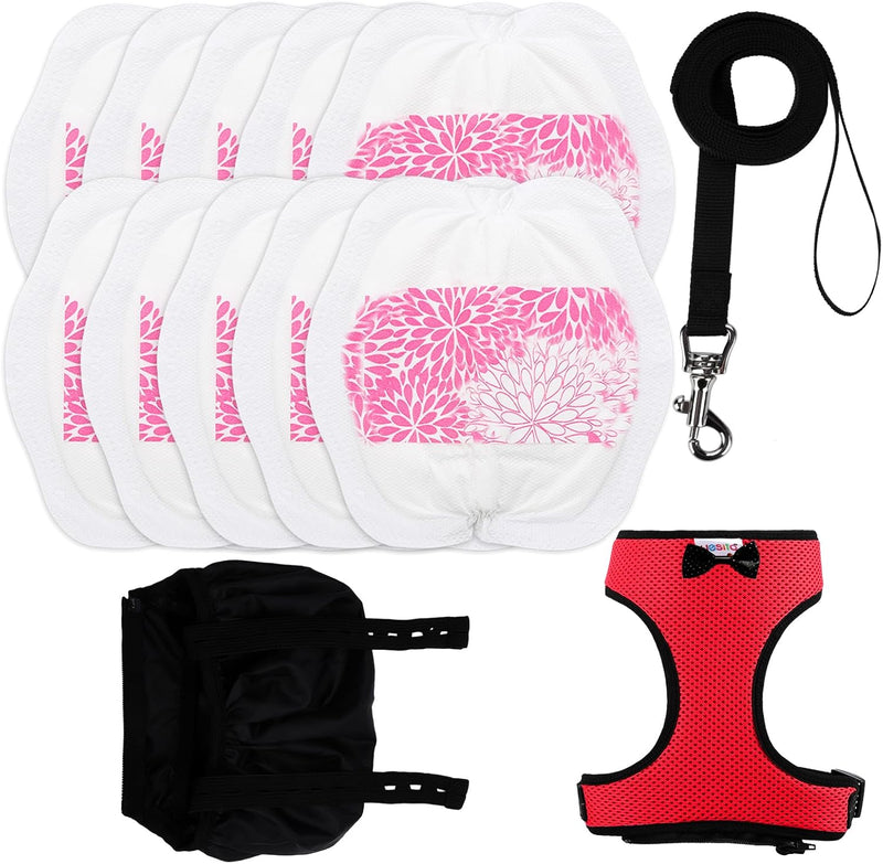 Adjustable Chicken Harness Diaper (5.4ft Leash) – Breathable & Washable Secure Training for Hens, Ducks & Chicks | Outdo