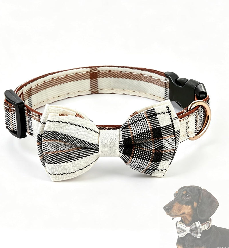 Dachshund Collar with Detachable Bow Tie