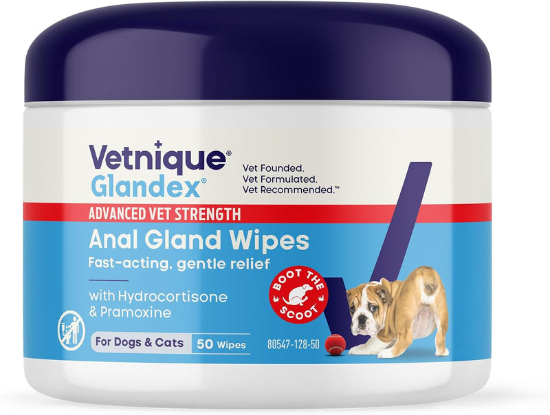 Vetnique Glandex Medicated Anal Gland Anti Itch Wipes for Dogs & Cats