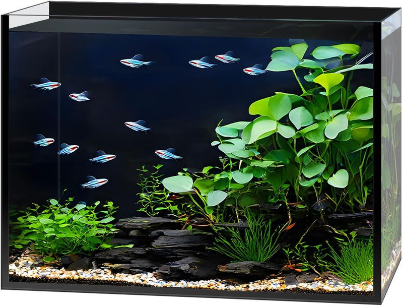2.5 Gallon Nano Glass Fish Tank, Ultra-Clear Rimless Desktop Aquarium