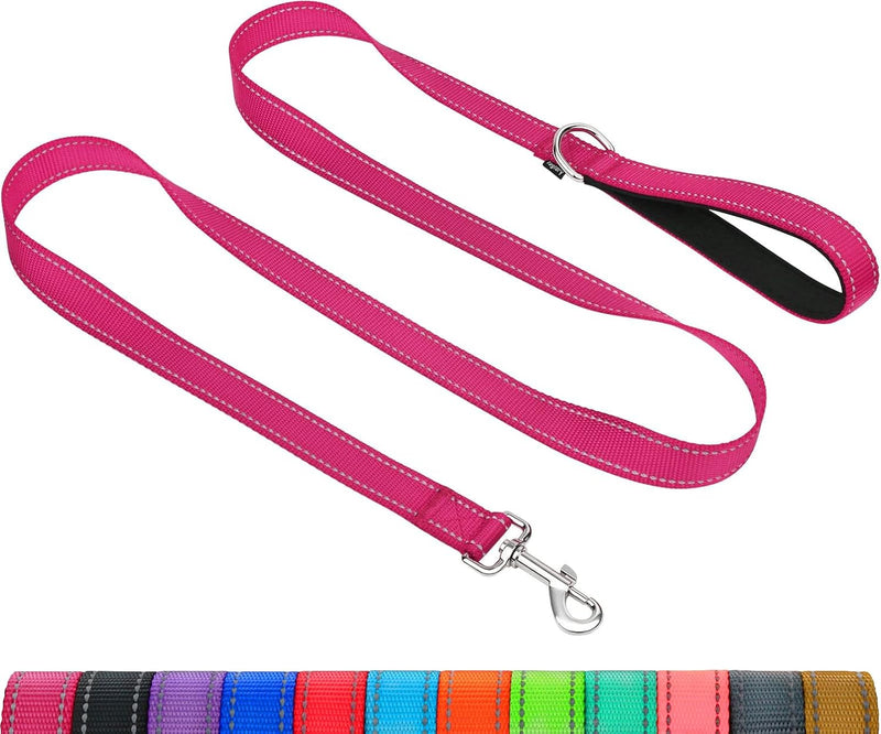 Taglory Reflective Dog Leash for Small Dogs, 3/4in x 4ft, Hot Pink
