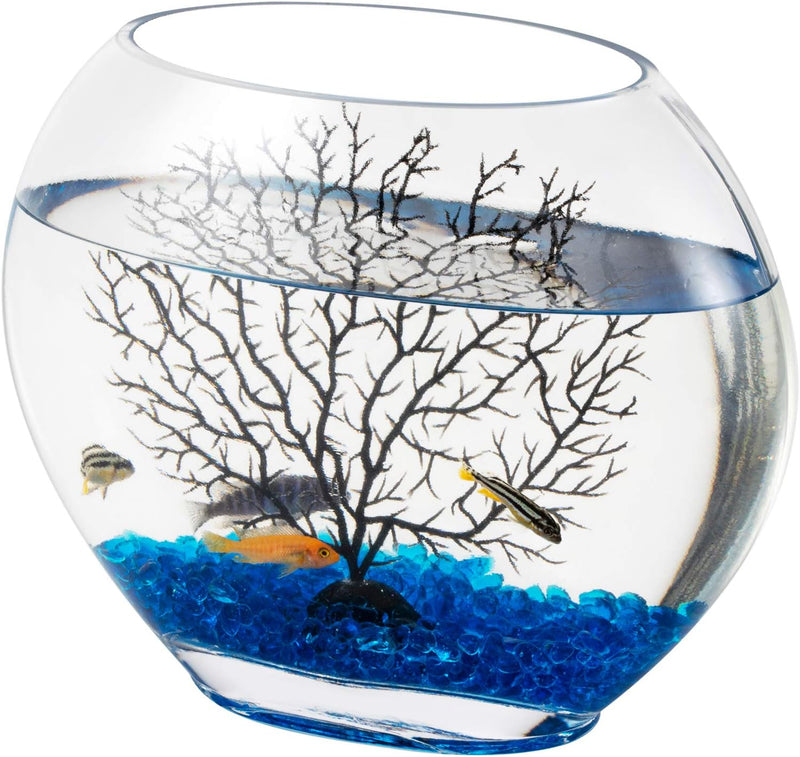 hygger Mini Glass Oblate Fish Bowl Kit, Small Fish Tank Comes with Blue Aquarium Decor Stones and Plastic Fan Branch Tre