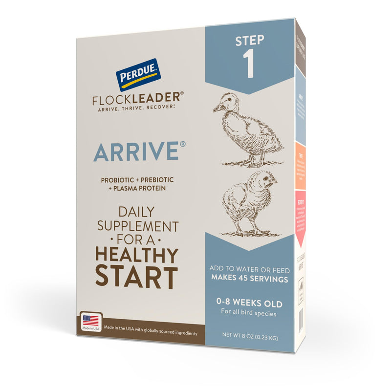 FlockLeader Arrive, Daily Probiotic & Prebiotic Poultry Supplement for Young Chickens 0-8 Weeks Old, 8 oz