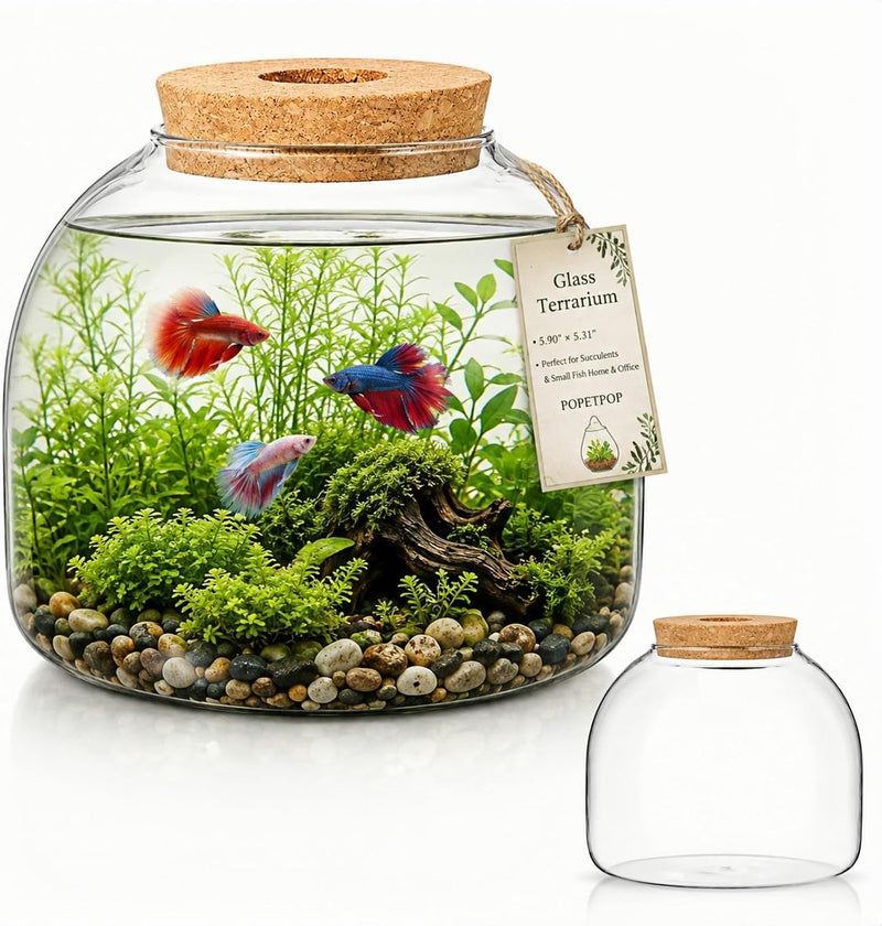 POPETPOP Glass Terrarium with Cork Lid - Glass Fish Tank Plant Terrarium