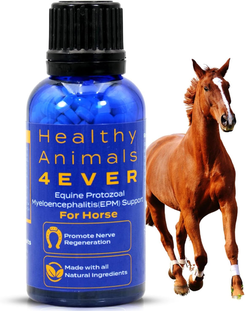 HA4E - Equine Protozoal Myeloencephalitis (EPM) Support - Reduces Weakness, Ataxia & Coordination Loss - Highly Effectiv