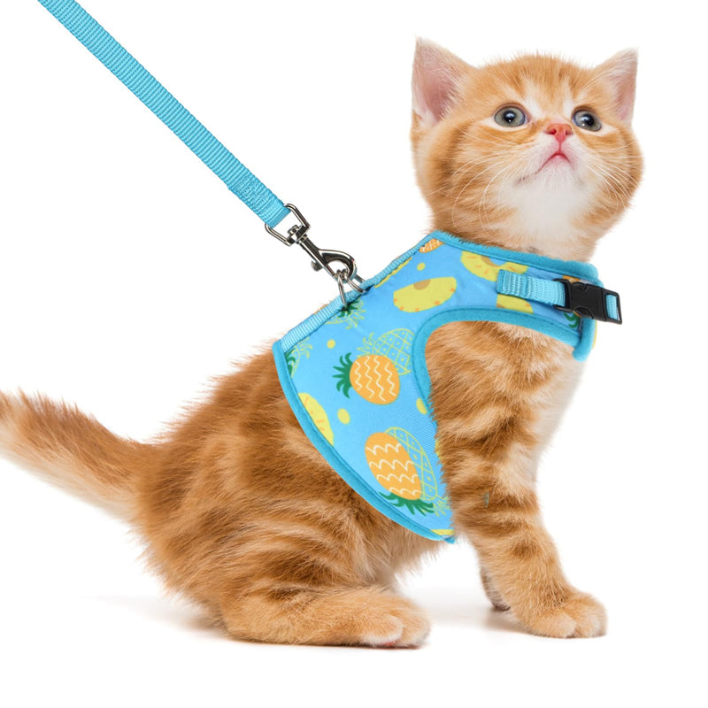 PUPTECK Soft Mesh Cat Vest Harness and Leash Set Puppy Padded Pet Harnesses Escape Proof for Cats Small Dogs Rabbits Bunny